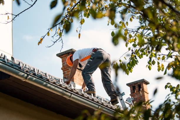 Best Storm Damage Roof Repair  in Riverdale Park, CA